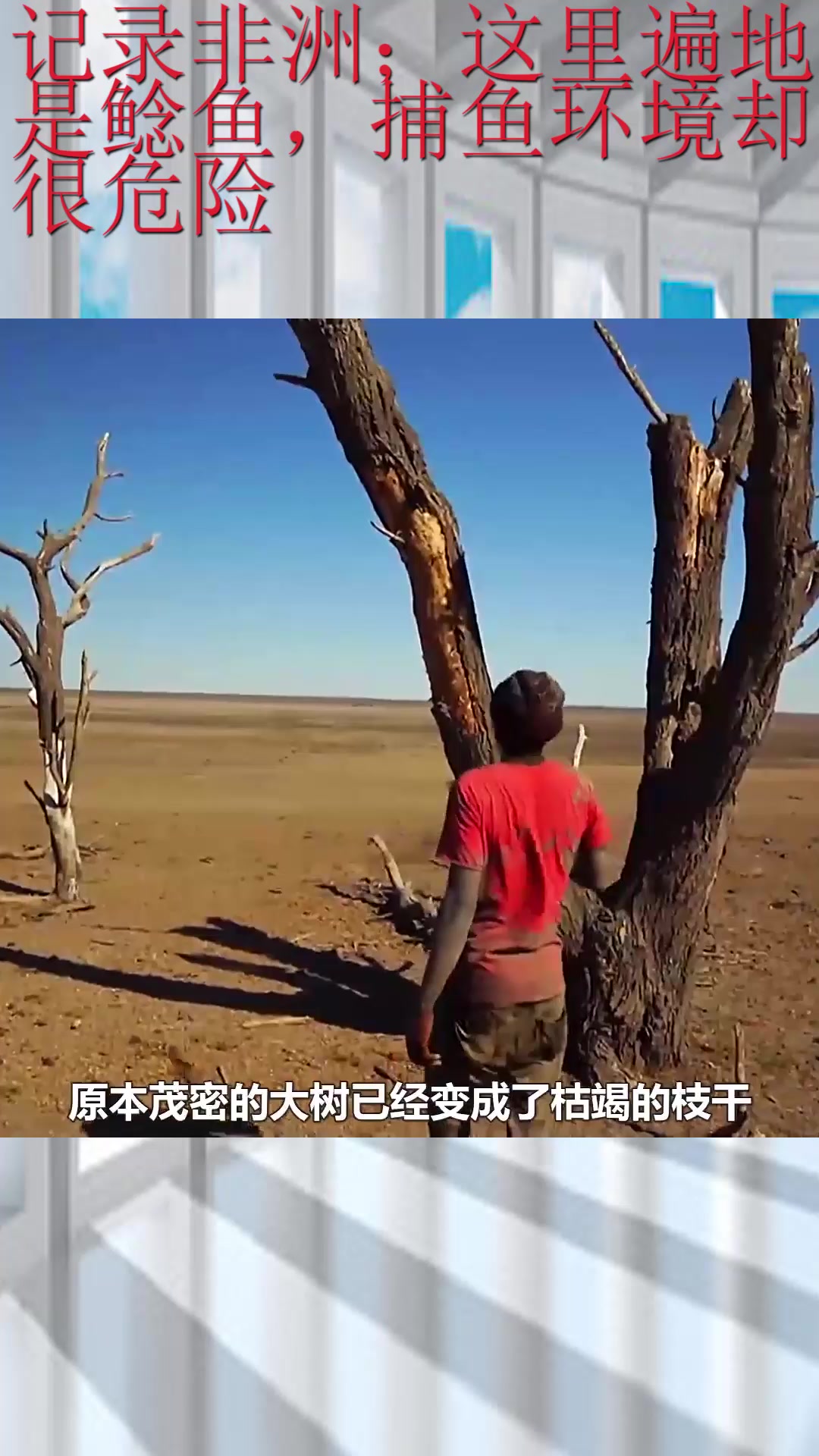 记录非洲;这里遍地是鲶鱼,捕鱼环境却很危险