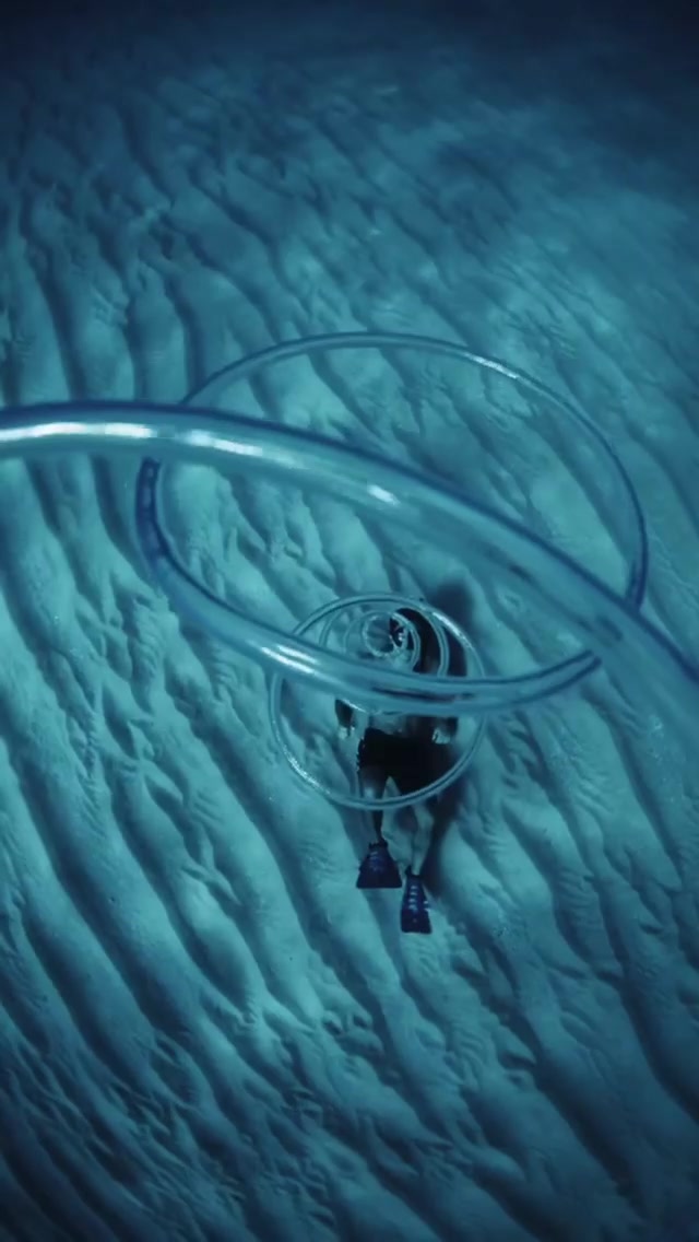 海底特写壁纸/手机动态壁纸