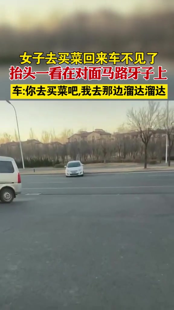 天津女子去买菜回来车不见了,抬头一看在对面马路牙子上,车:你去买菜吧,我去那边溜达溜达