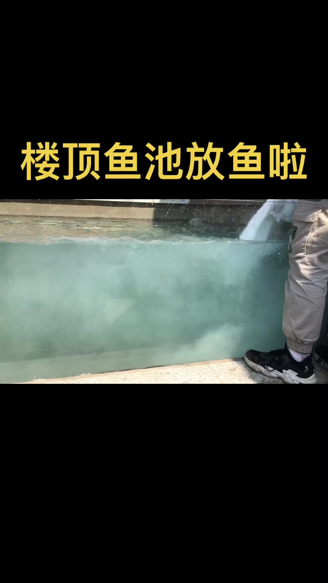 楼顶鱼池,阳台鱼池,锦鲤鱼池