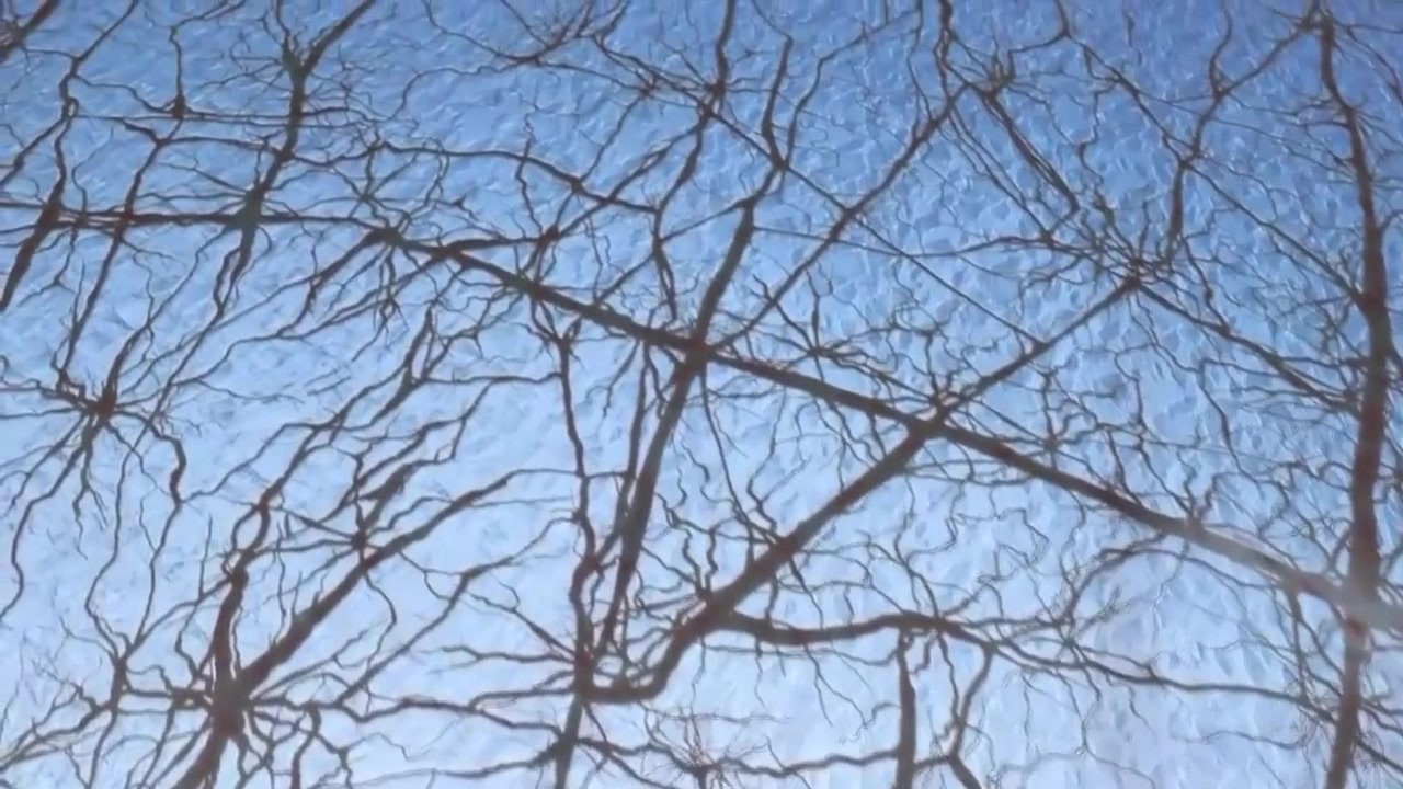 #重大放映室#推荐一部国家地理制作的纪录片《旅行到宇宙边缘》,豆瓣9.3! 本片从人类遥望