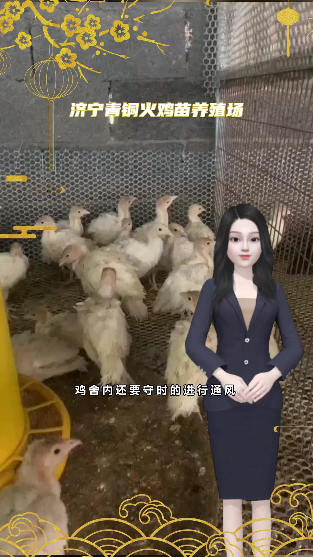 青铜火鸡苗养殖技巧