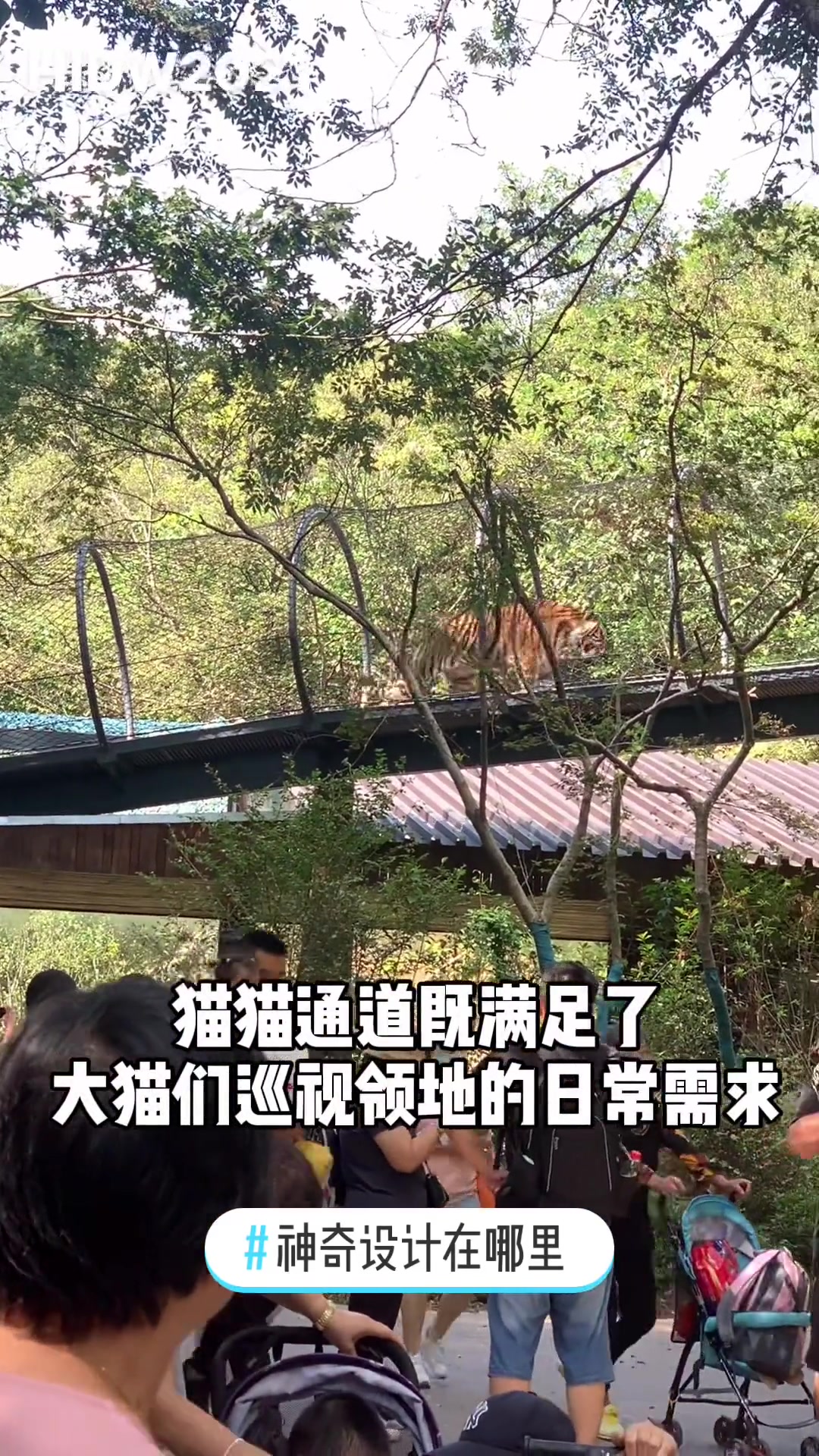 神奇设计在哪里 蒸汽朋克风的猫猫通道,还不来红山打卡～周末去哪玩 虎