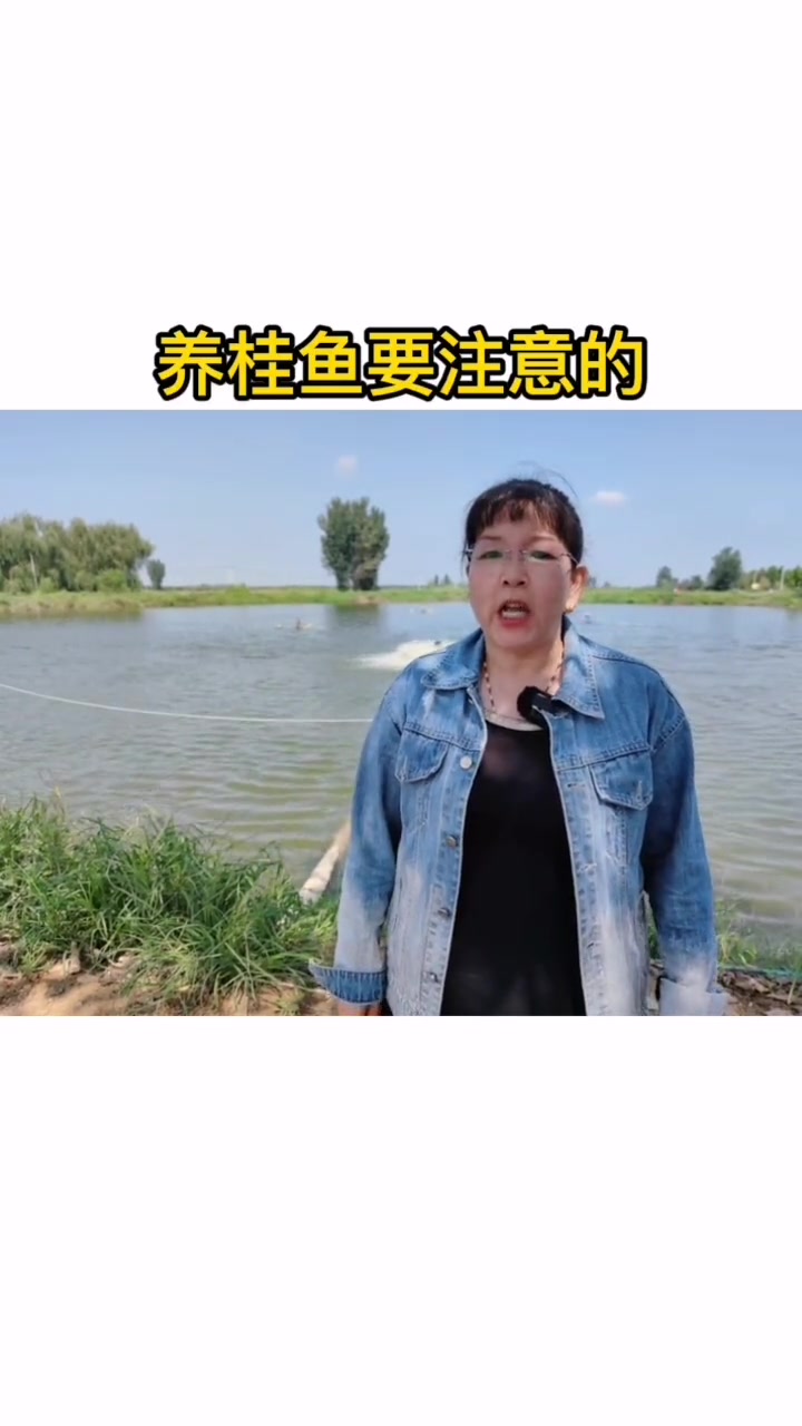 桂花鱼养殖技术  