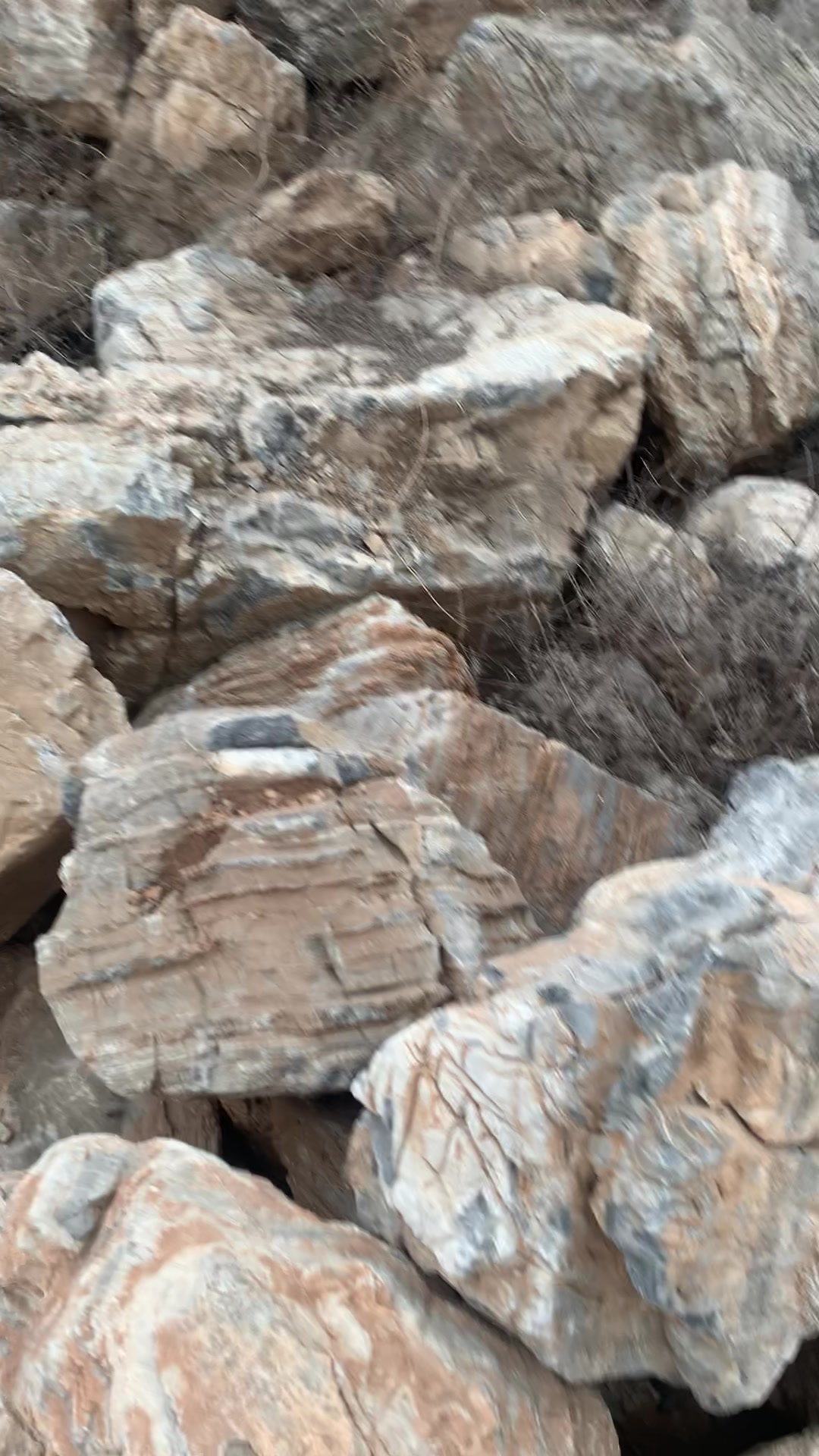 黑龙江牡丹江假山石 小型千层石 临汾假山石 #黑龙江牡丹江假山石# @兴超园林景观假山制作