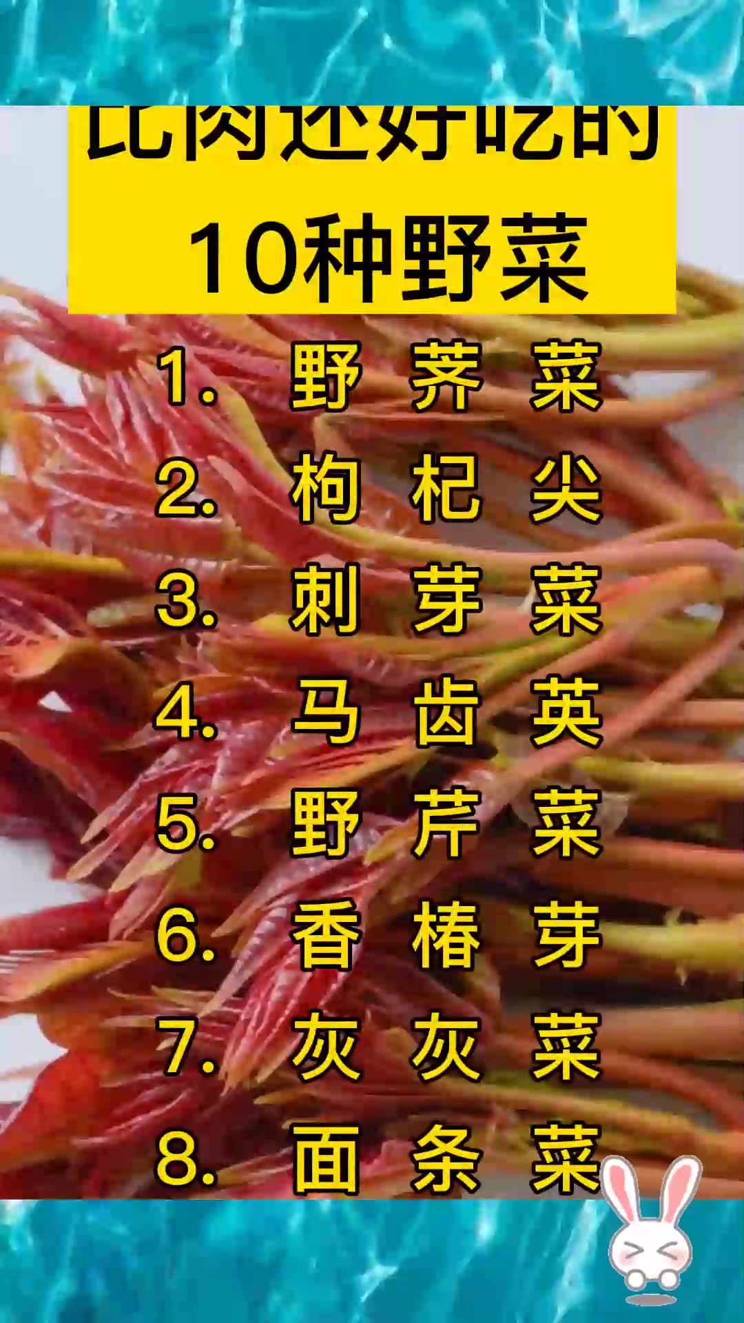 比肉还好吃的10种野菜,没吃过赶紧尝尝,别傻傻分不清!