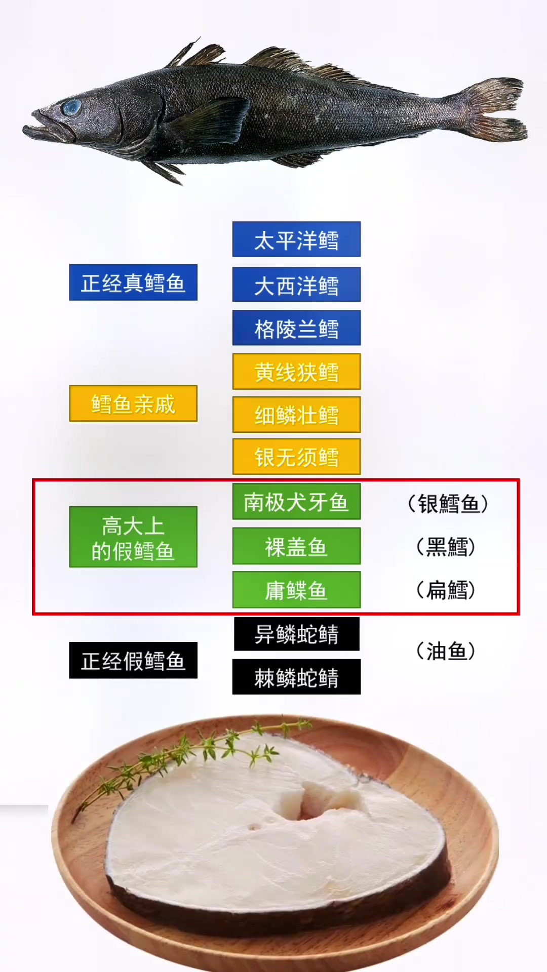 你吃的鳕鱼可能是假的