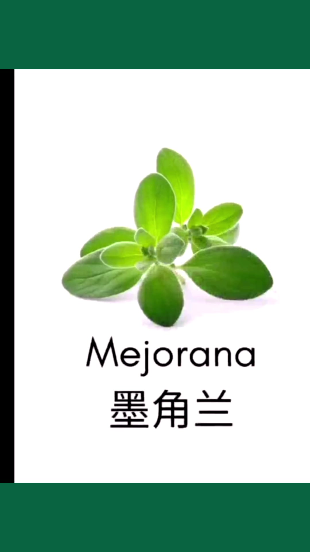 比较适合西式糕点,西式盘式的花草!