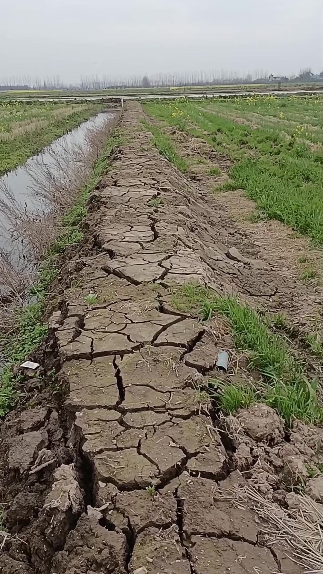 龙虾池放水准备放苗咯