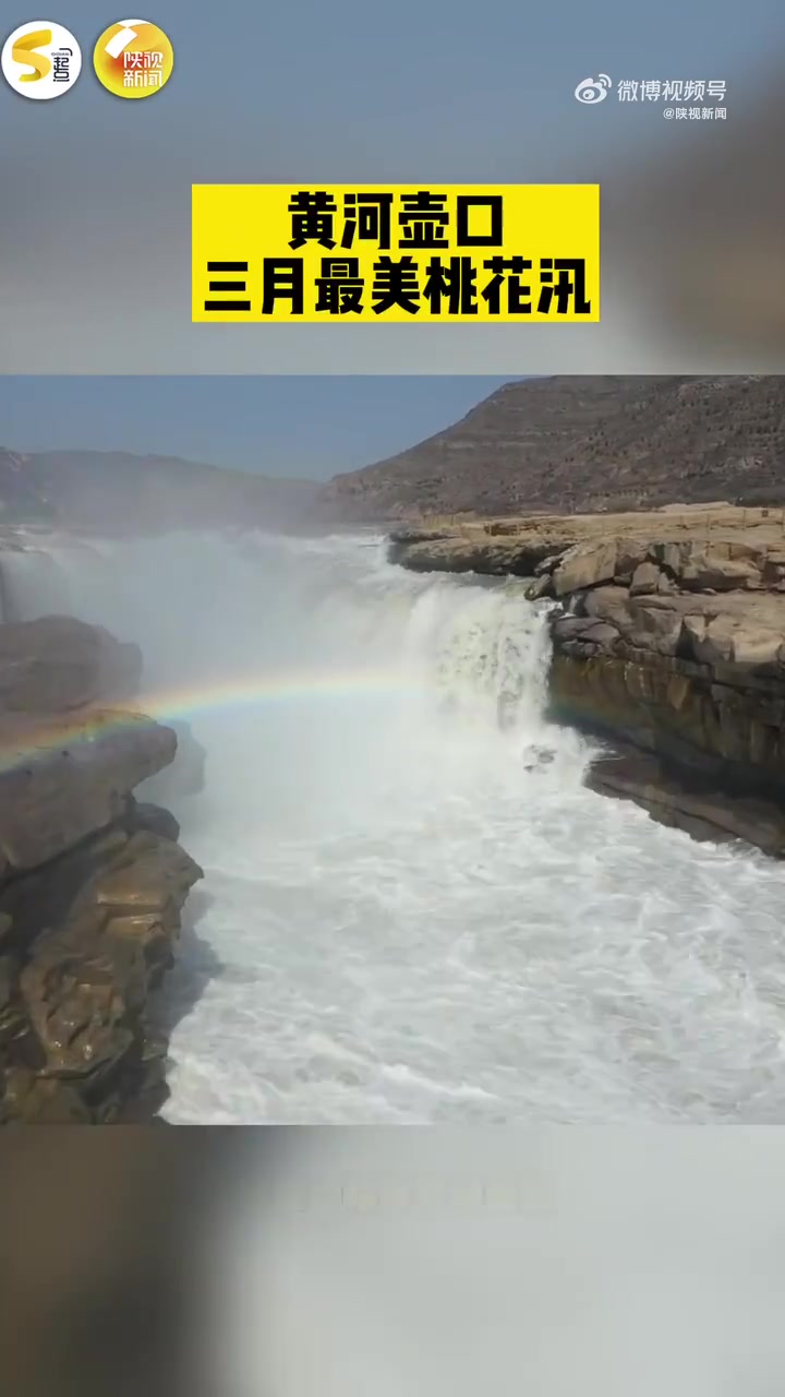 #大自然绘出绝美春季诗画图#【#黄河壶口迎最美桃花汛#[鼓掌]】近日受气温升高影响,位于秦