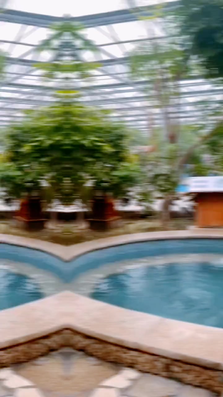 汤盛温泉汗蒸星级自助餐