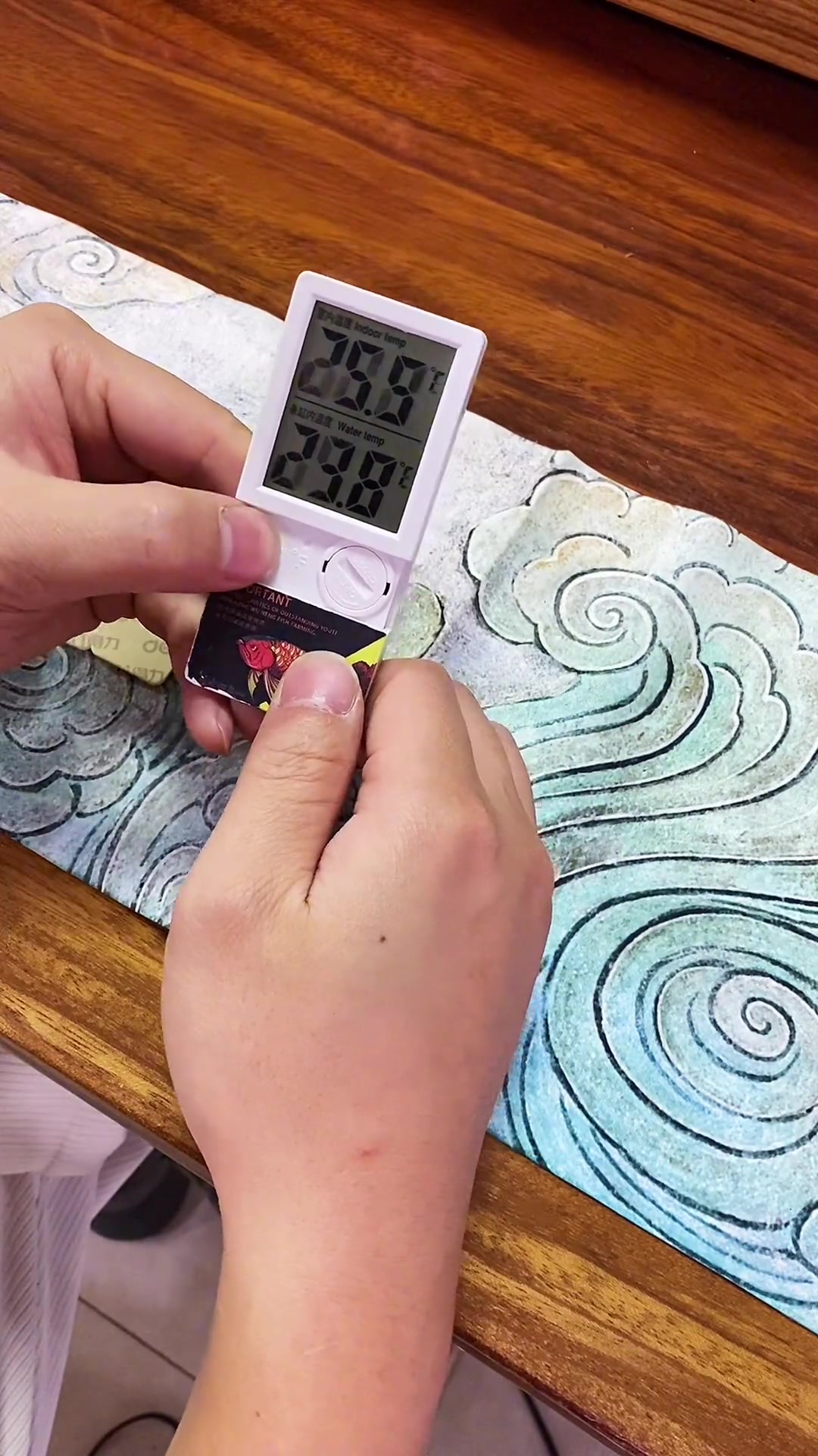 其实都挺好的!养鱼日记 鱼缸温度计