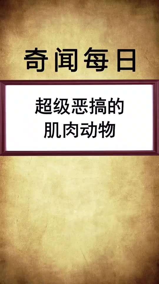 恶搞的肌肉动物,这么猛的肌肉你喜欢吗!