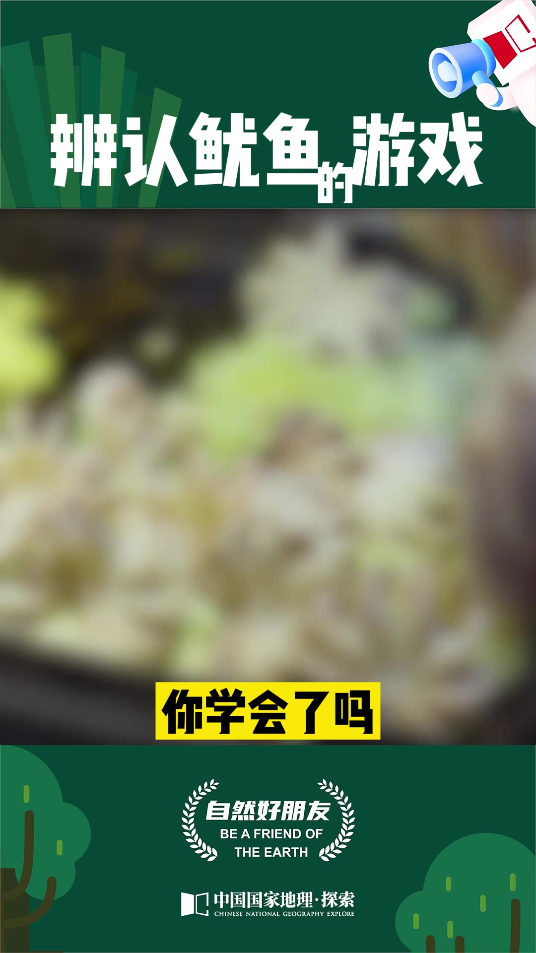 【鱿鱼】鱿鱼章鱼和墨鱼,它们到底谁是谁还在傻傻分不清?