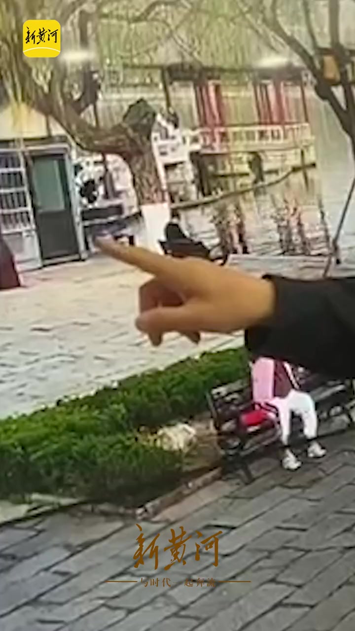 3月16日,山东济南,男子违法猎捕景区十年高龄鲤鱼:鱼长七八十公分,是金色鲤鱼,很稀少