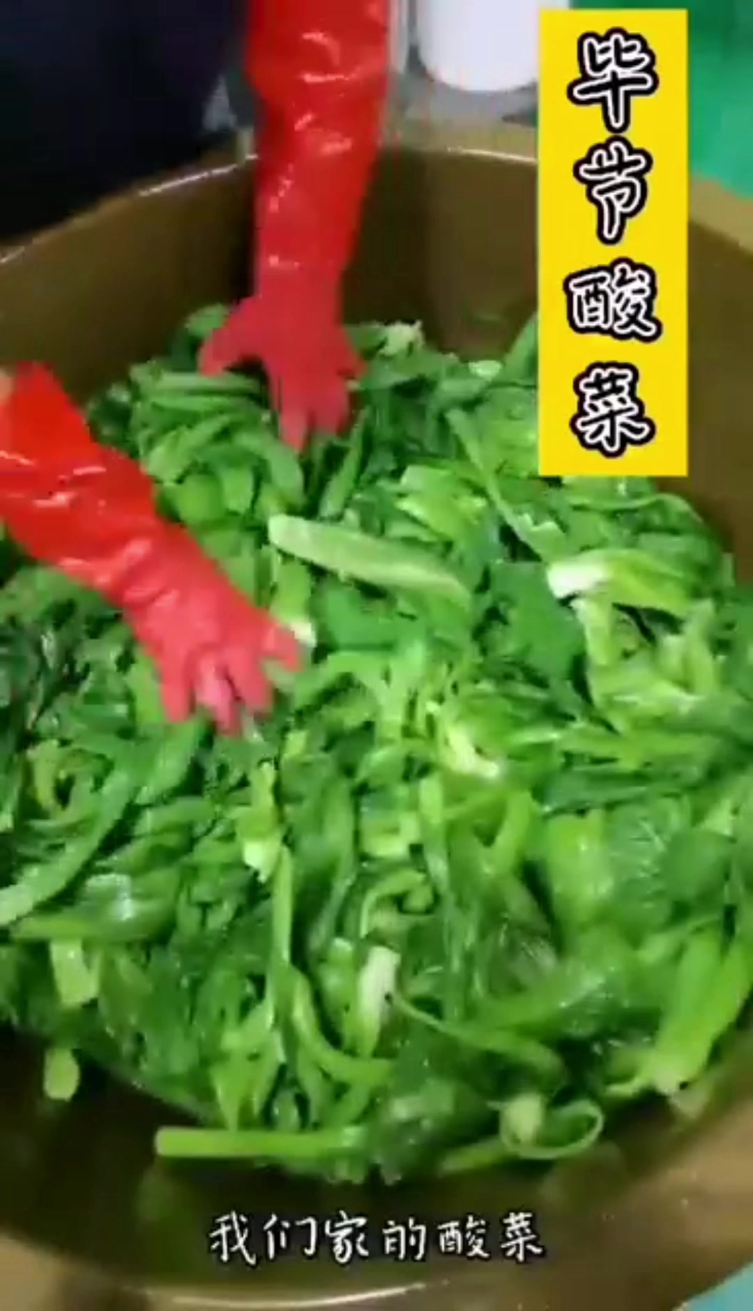 贵州毕节的酸菜是这么做的,想念家乡的味道