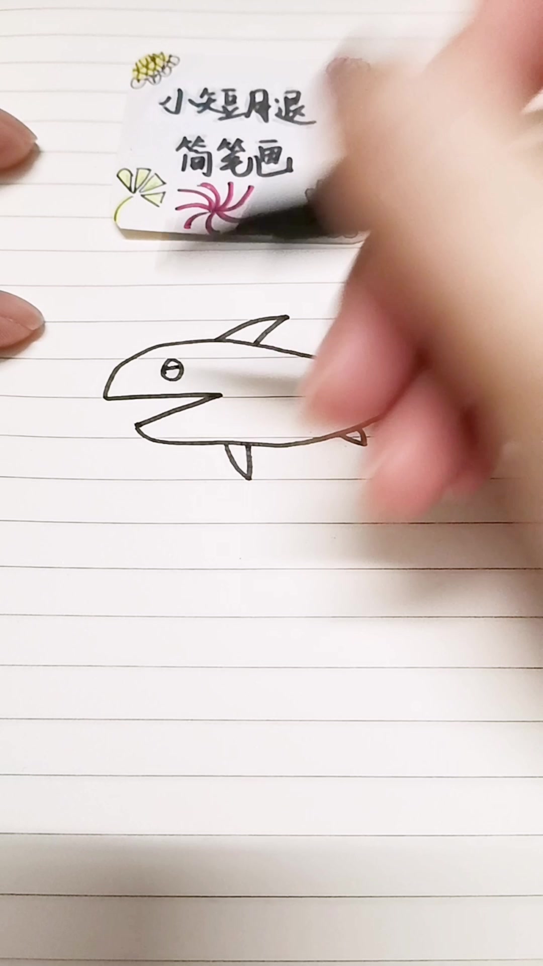 可爱简笔画鲨鱼,带上孩子一起学习吧