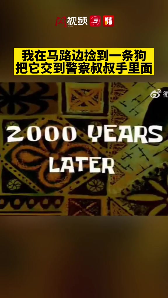 当走失哈士奇进入派出所……走失哈士奇大拆派出所办公室