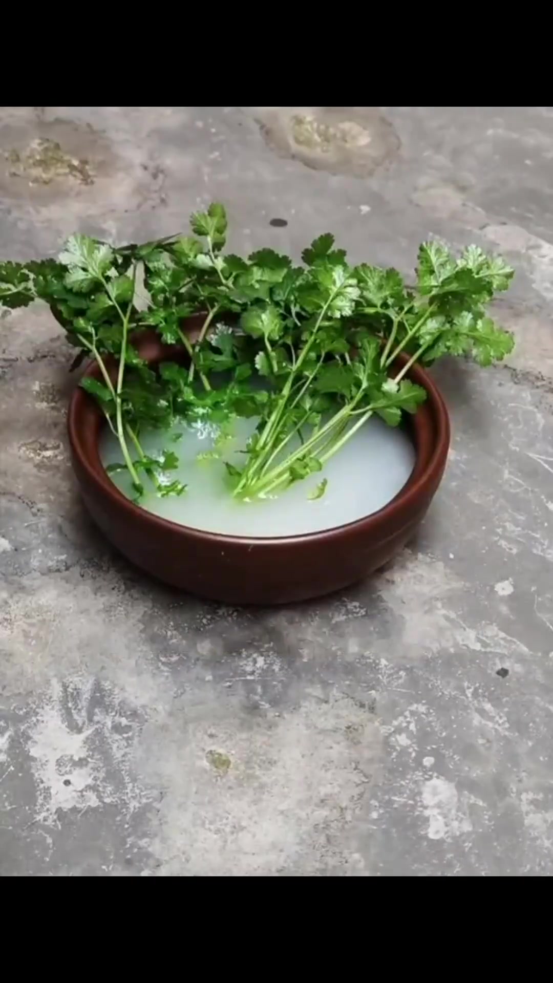 芫荽米汤的食用方法