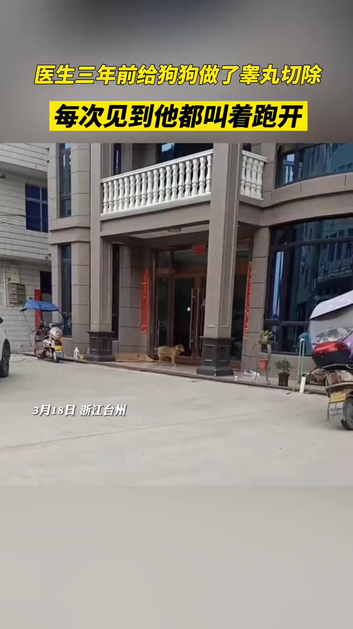 宠物医生三年前给狗狗做了睾丸切除。三年来每次见到他就咬