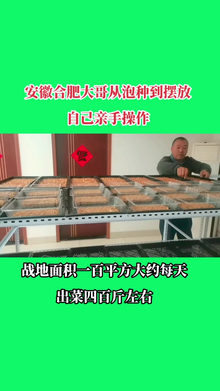 无公害有机绿色蔬菜一年四季种植五到七天一茬菜