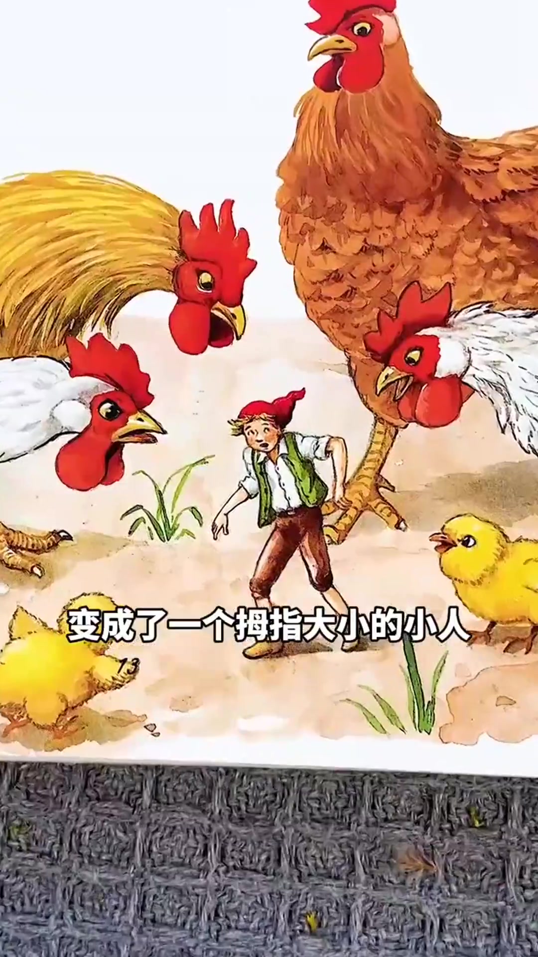 尼尔斯骑鹅旅行记