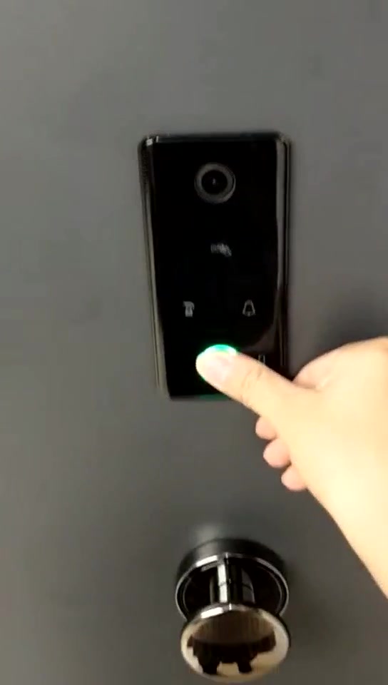 鱼骨纹防盗门是什么样的,一起来看看吧