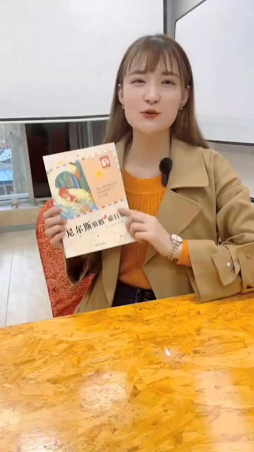 中小学生课外书屋:骑鹅旅行记