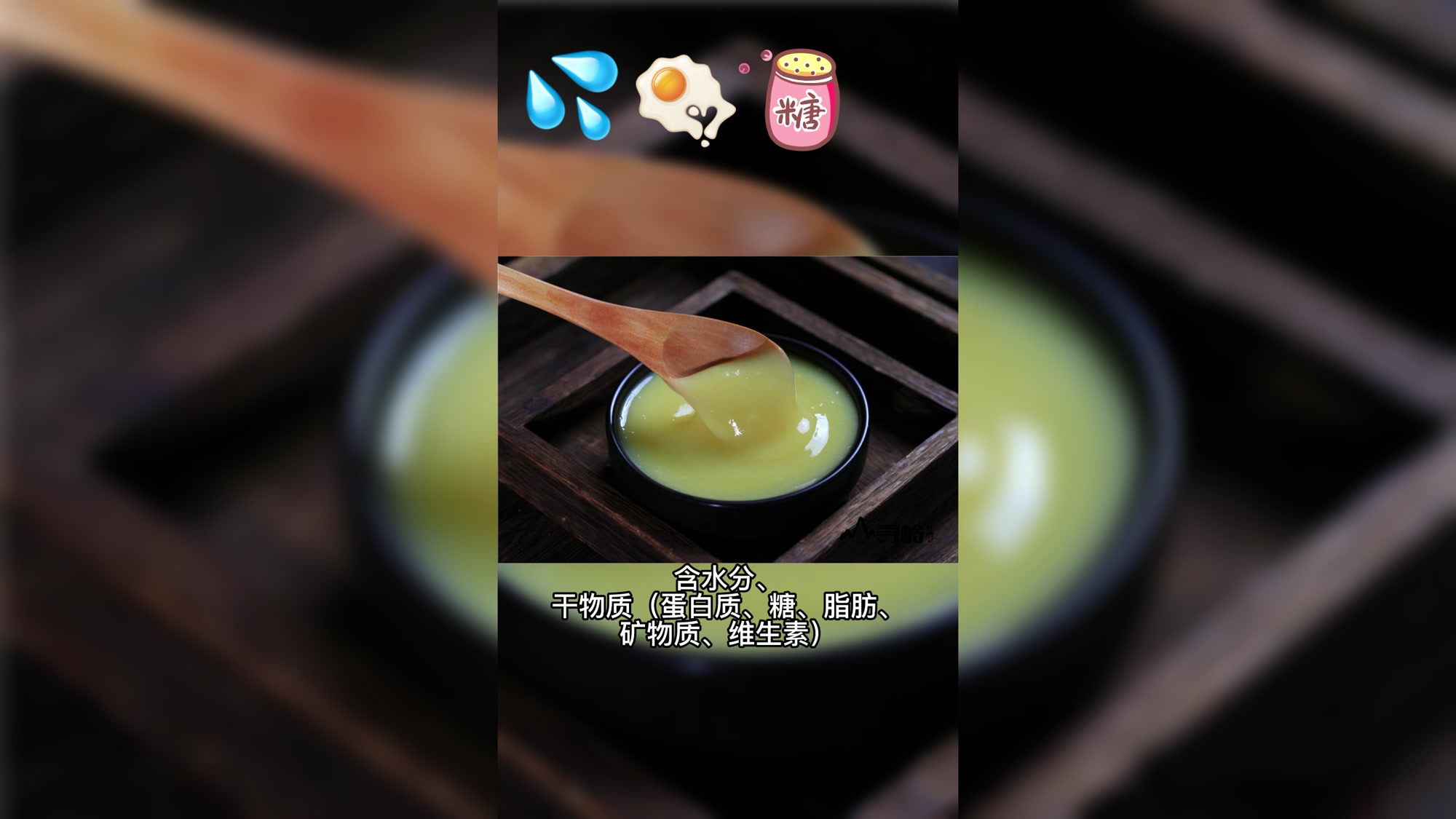 二、蜂王的秘密 蜂王的食物蜂王浆 蜜蜂大世界 科普小课堂