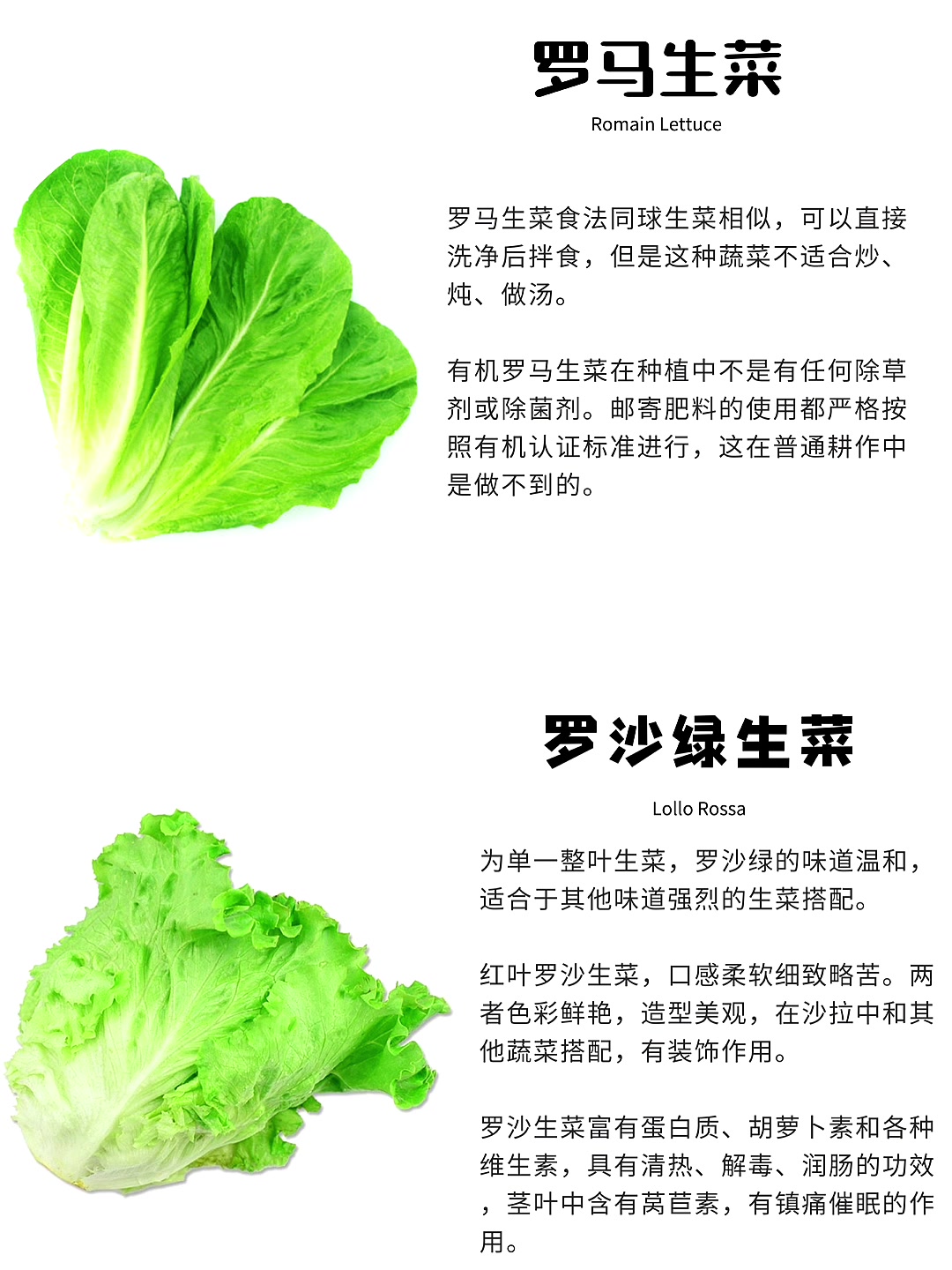 西餐沙拉中常见的蔬菜,你都了解多少?