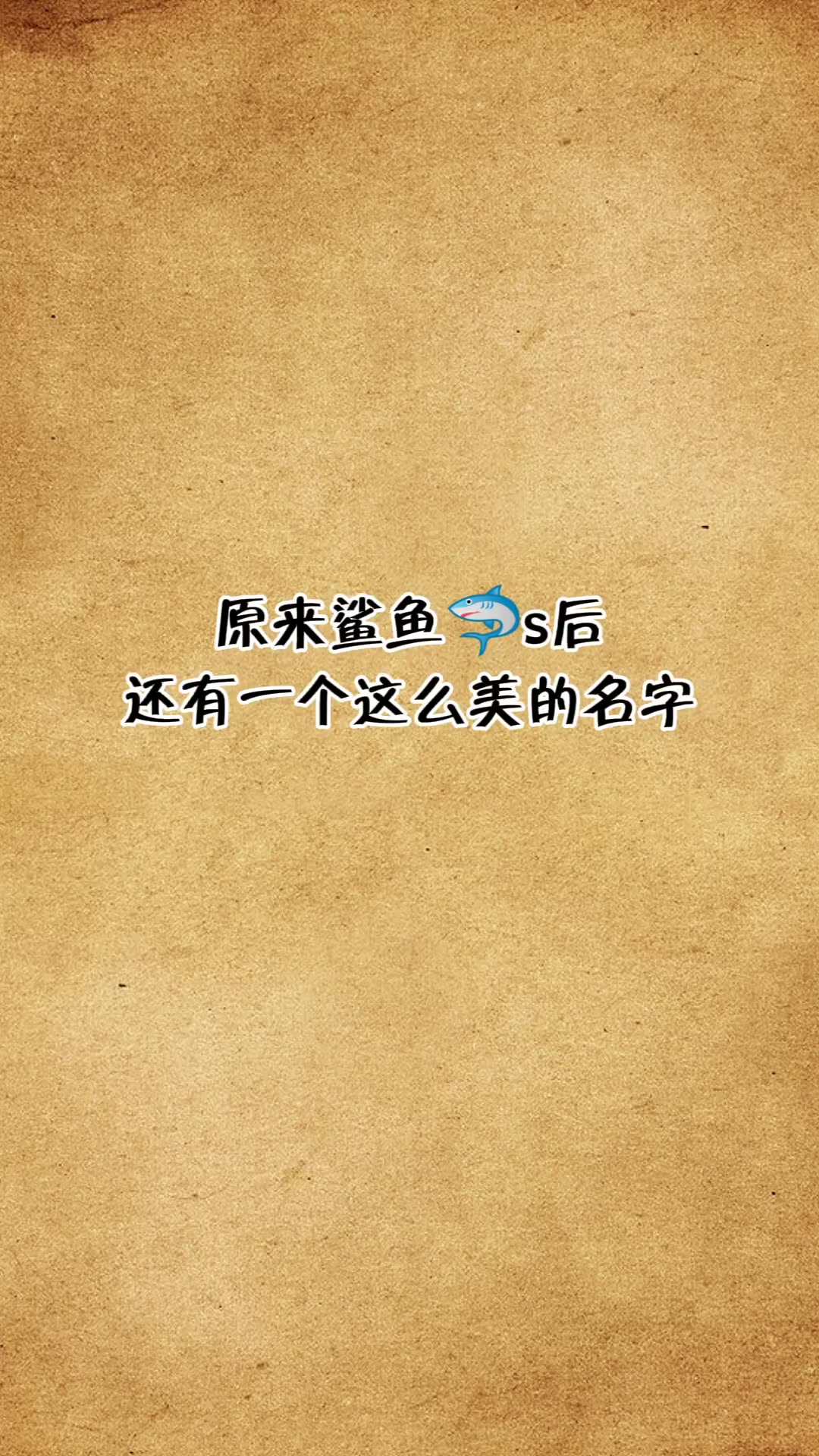 每天一点冷知识鲸鱼是叫鲸落,鲨鱼叫什么呢!