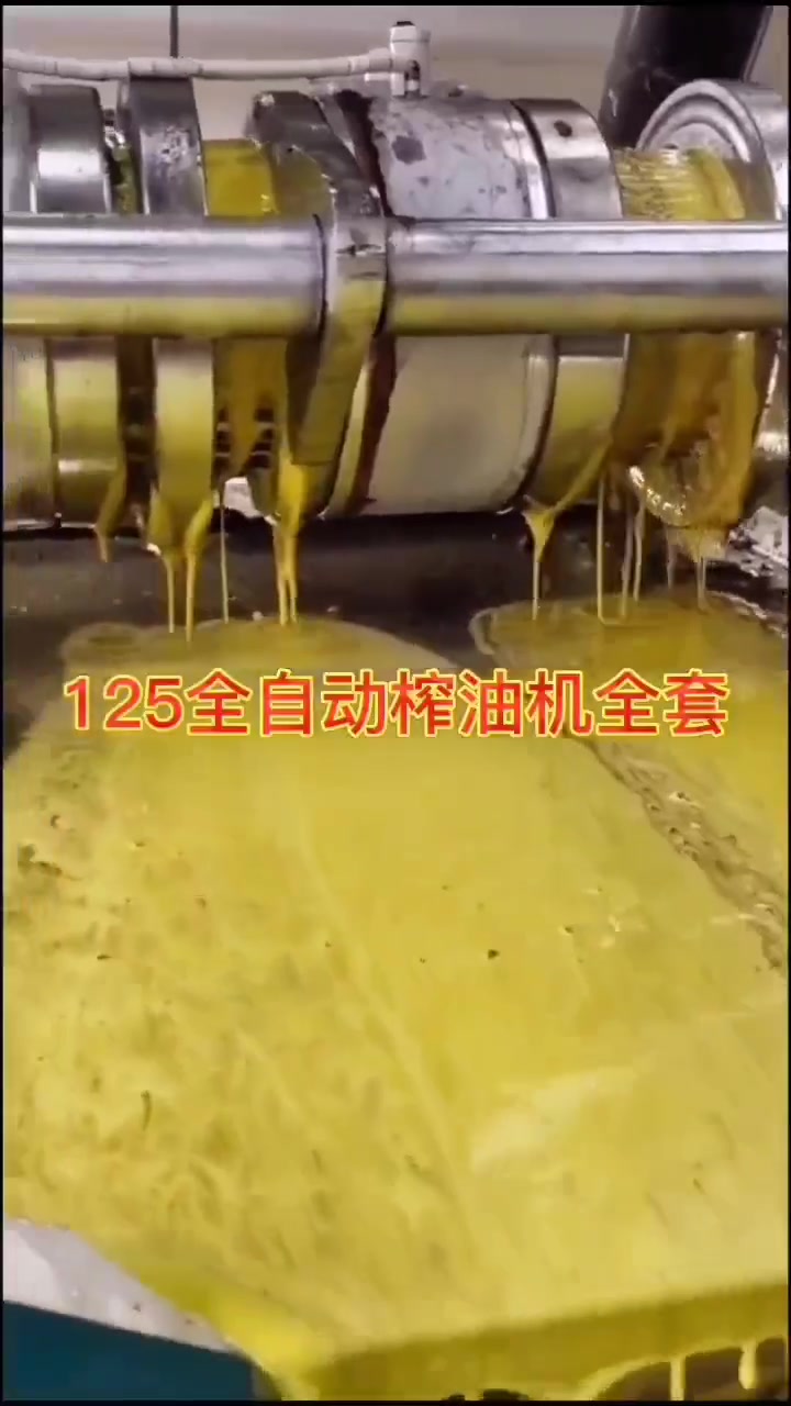 大豆花生油螺旋榨油机菜籽油葵茶籽油生榨机