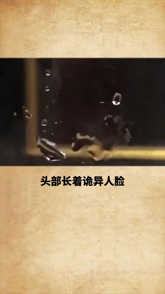 天秀不如你秀真的吗!