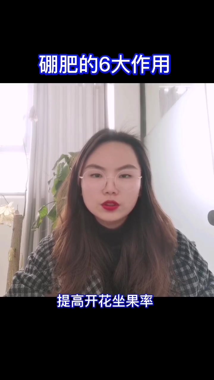 肥料硼在开花坐果期太重要了,细数它的6
