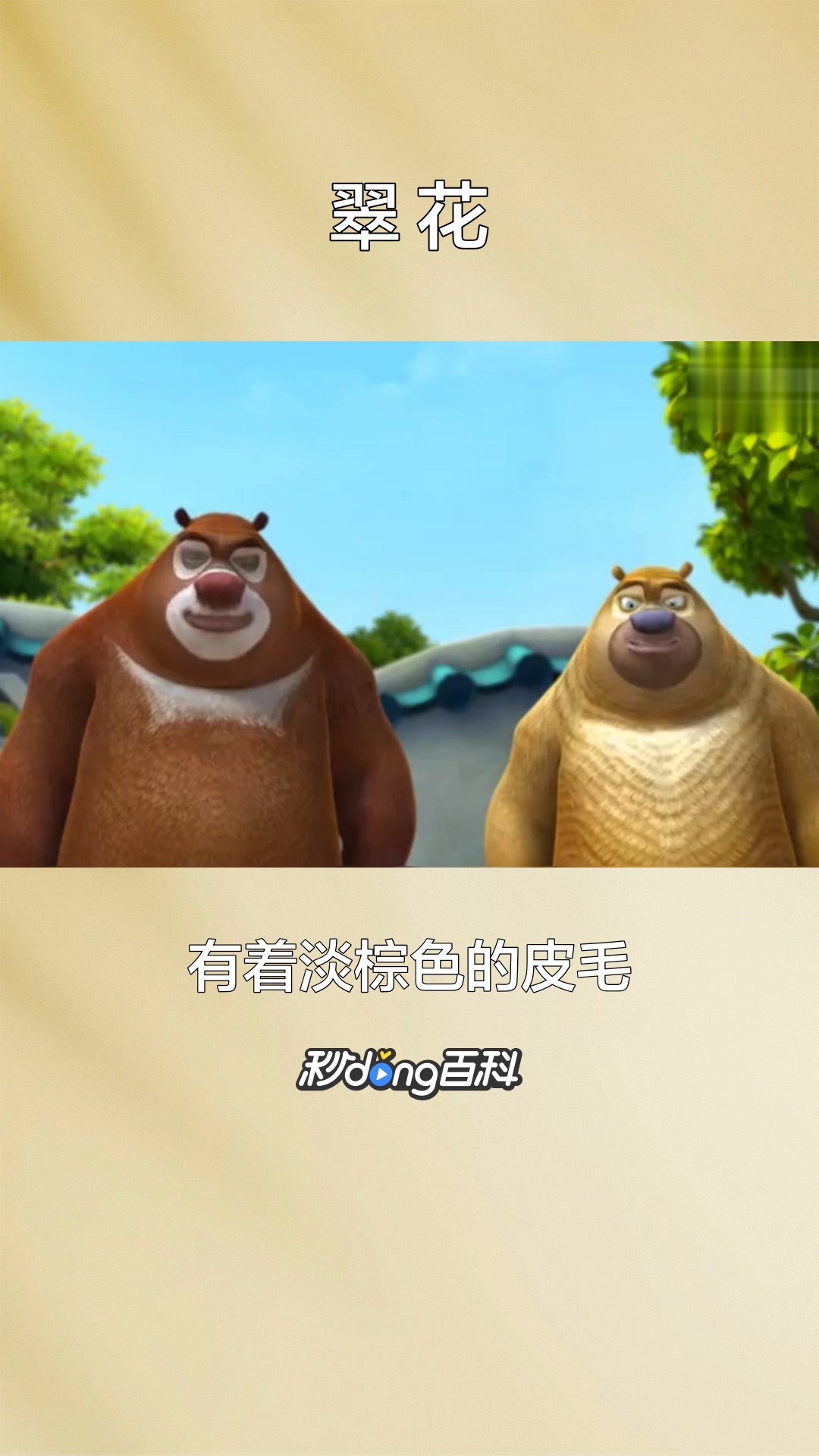 一分钟了解动画片《熊出没》系列中的角色翠花