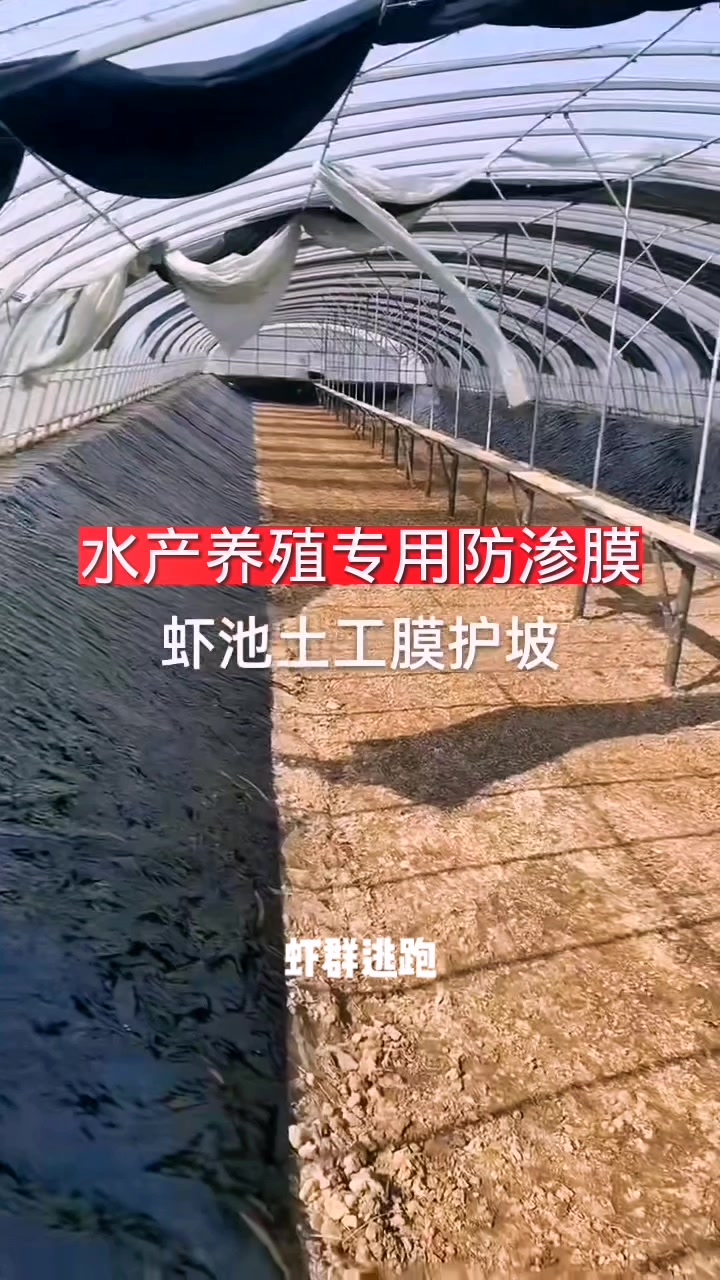 虾池鱼塘护坡专用防渗膜,施工完都跑哪里去了?