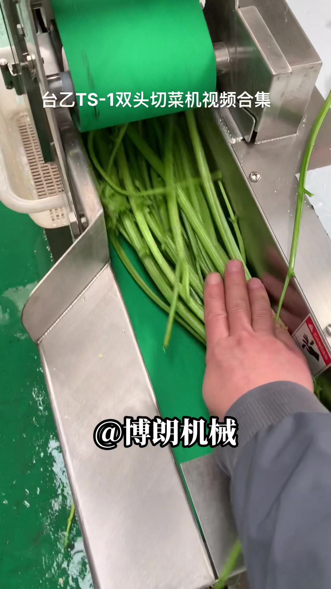台乙TS-1多功能切菜机双头切菜机功能视频演示