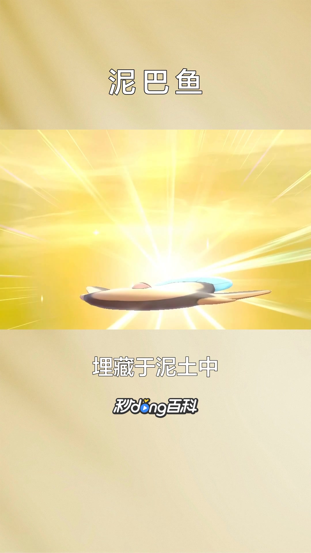 一分钟了解人物泥巴鱼