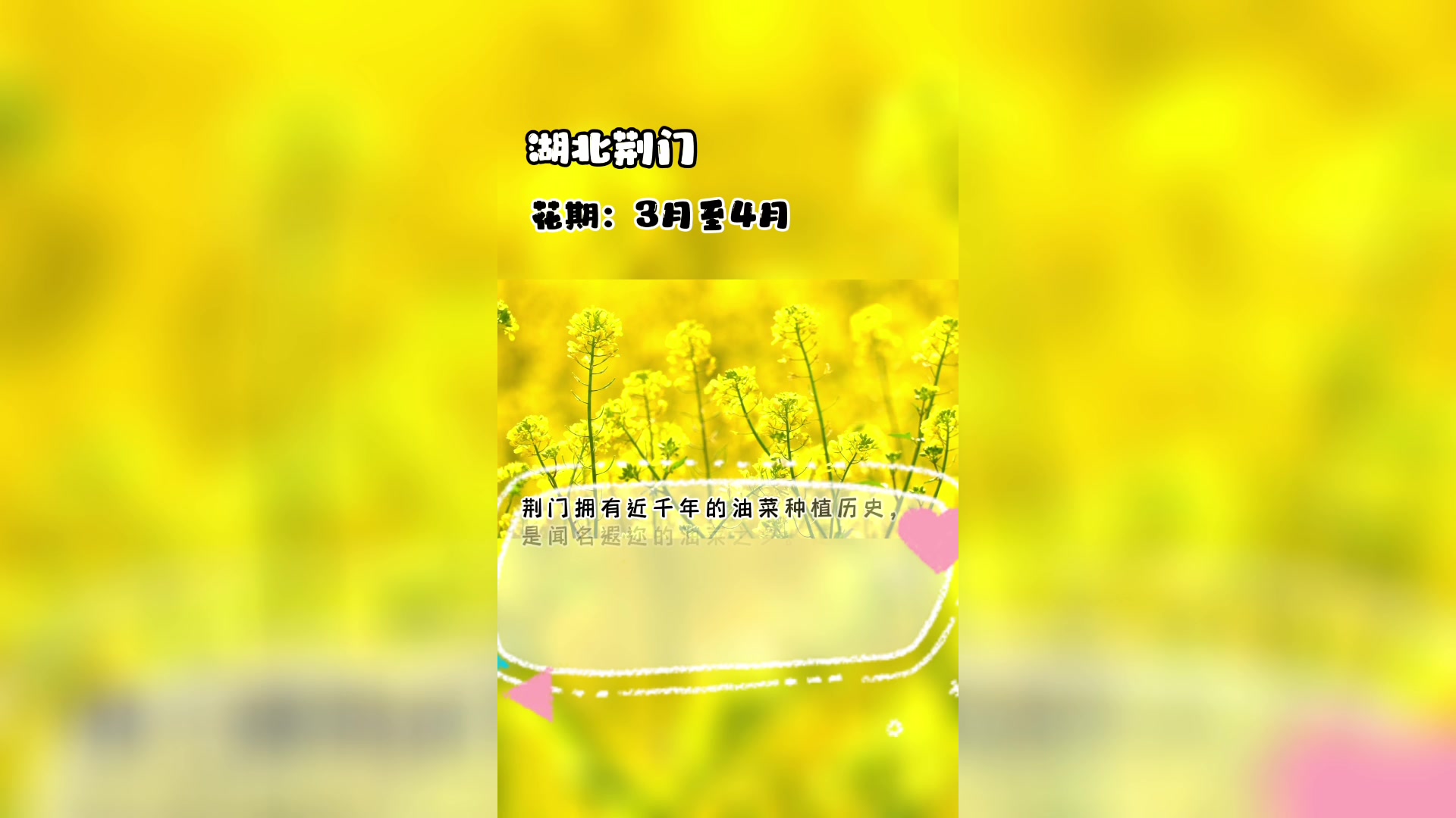 有一种很平凡的花叫油菜花,它的花语是:你想要的都会有!