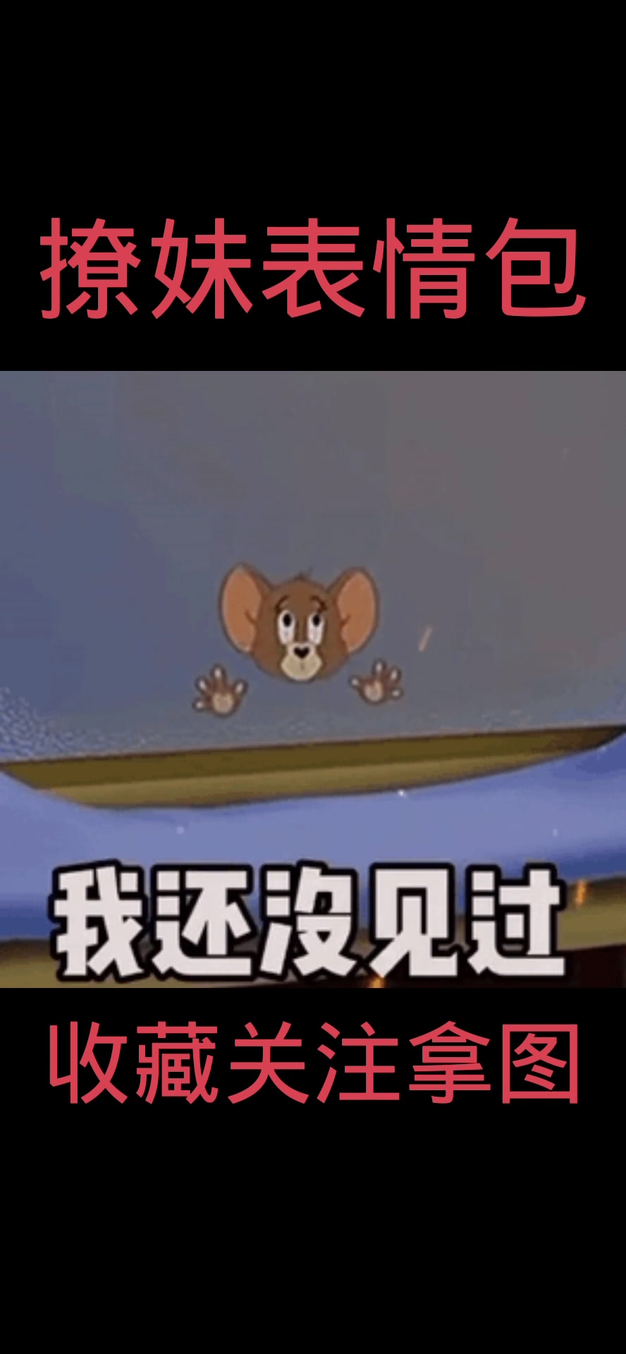 撩妹表情包,猫和老鼠的故事