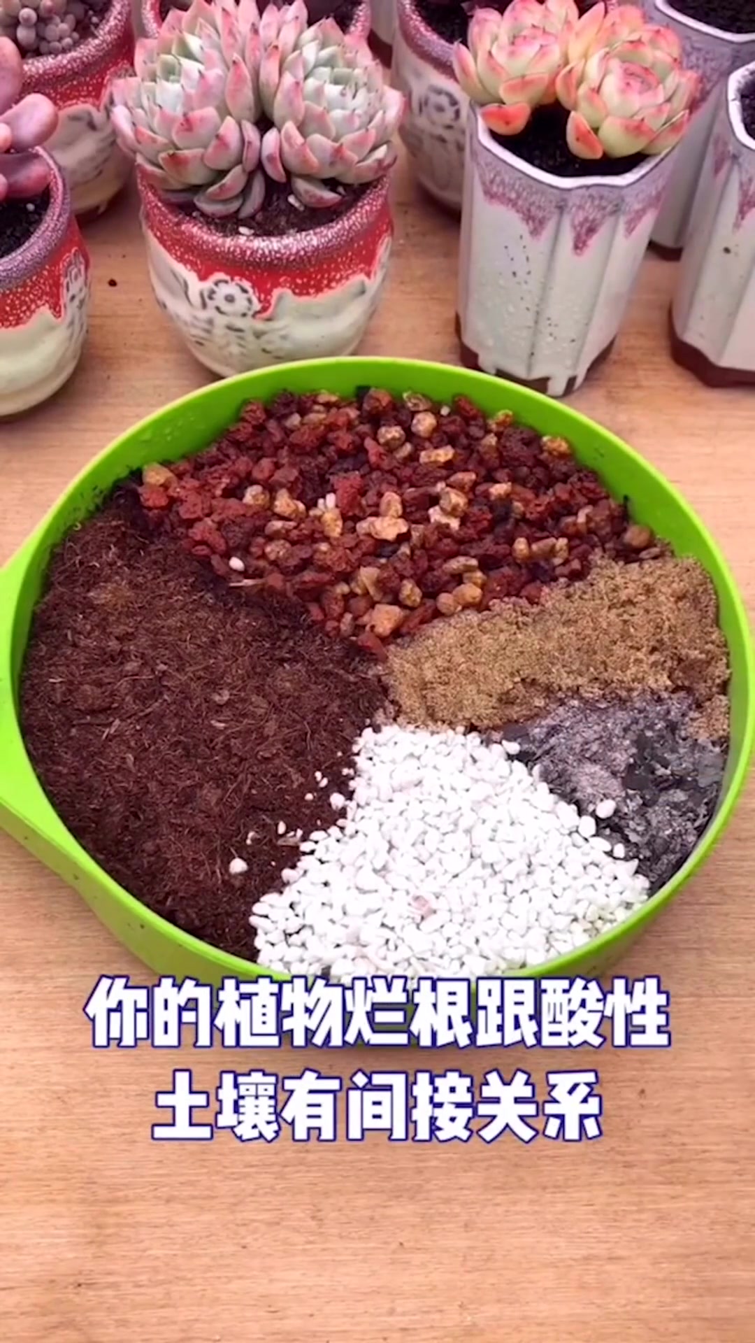 给大家分享一个颗粒土搭配的比例配方 多肉
