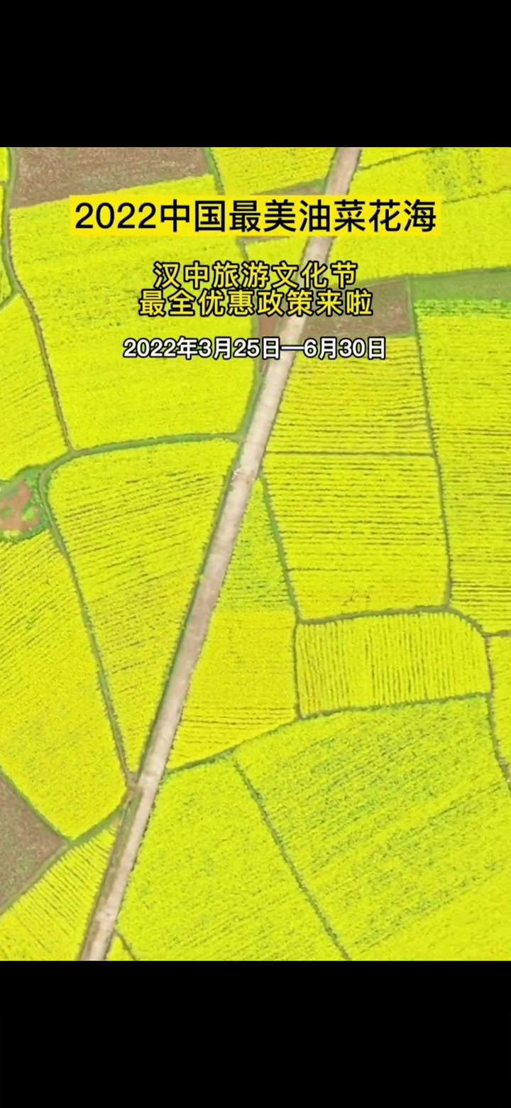 2022中国最美油菜花海汉中旅游文化节最全优惠政策来啦 2022汉中油菜花节 汉中旅游 旅