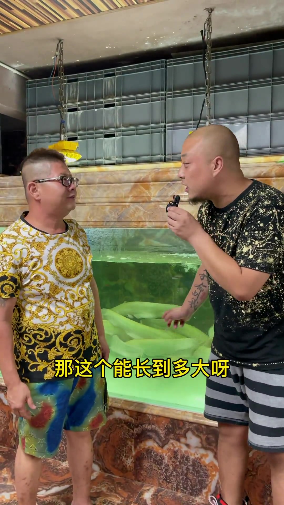 这样就被发现了,下回还买什么大鱼呢?观赏鱼