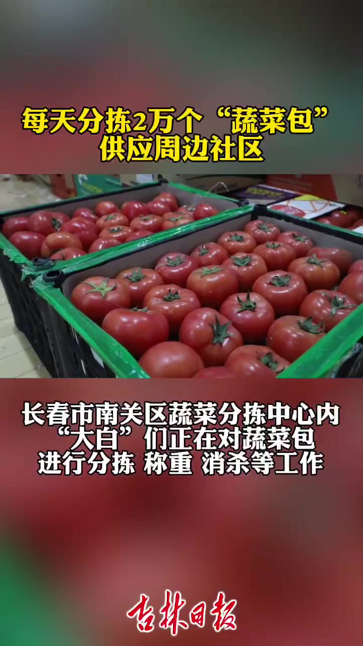 每天分拣2万个“蔬菜包”供应周边社区 吉林加油 长春加油