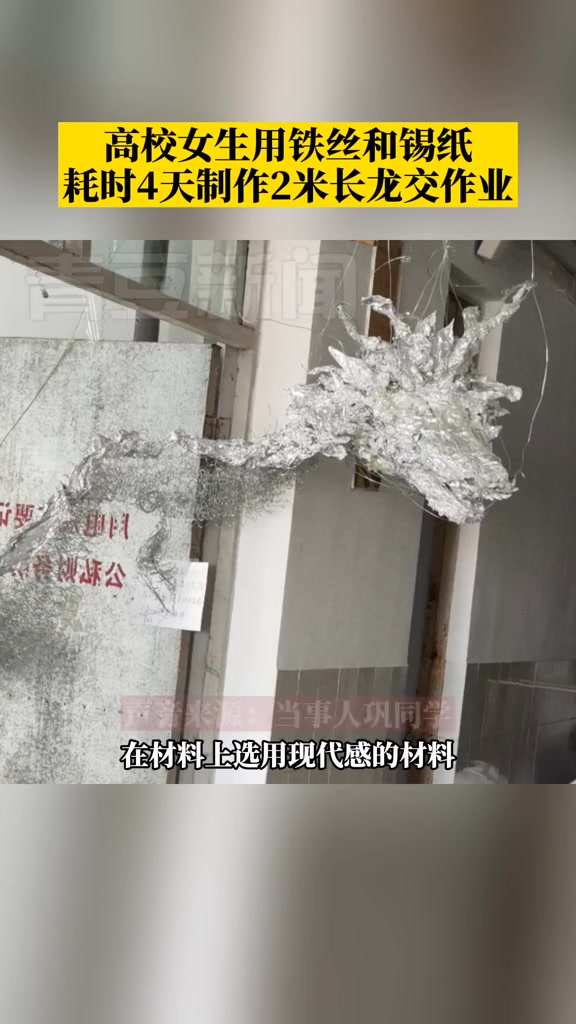 3月28日，山东泰安。利用铁丝和锡纸，耗时4天，高校女生制作2米长龙交作业 @二珂