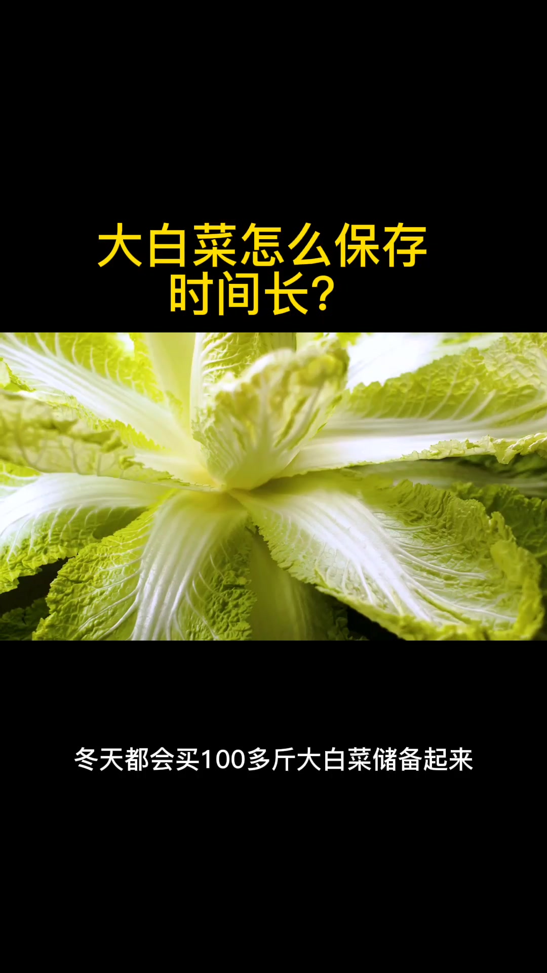 大白菜怎么保存时间长?