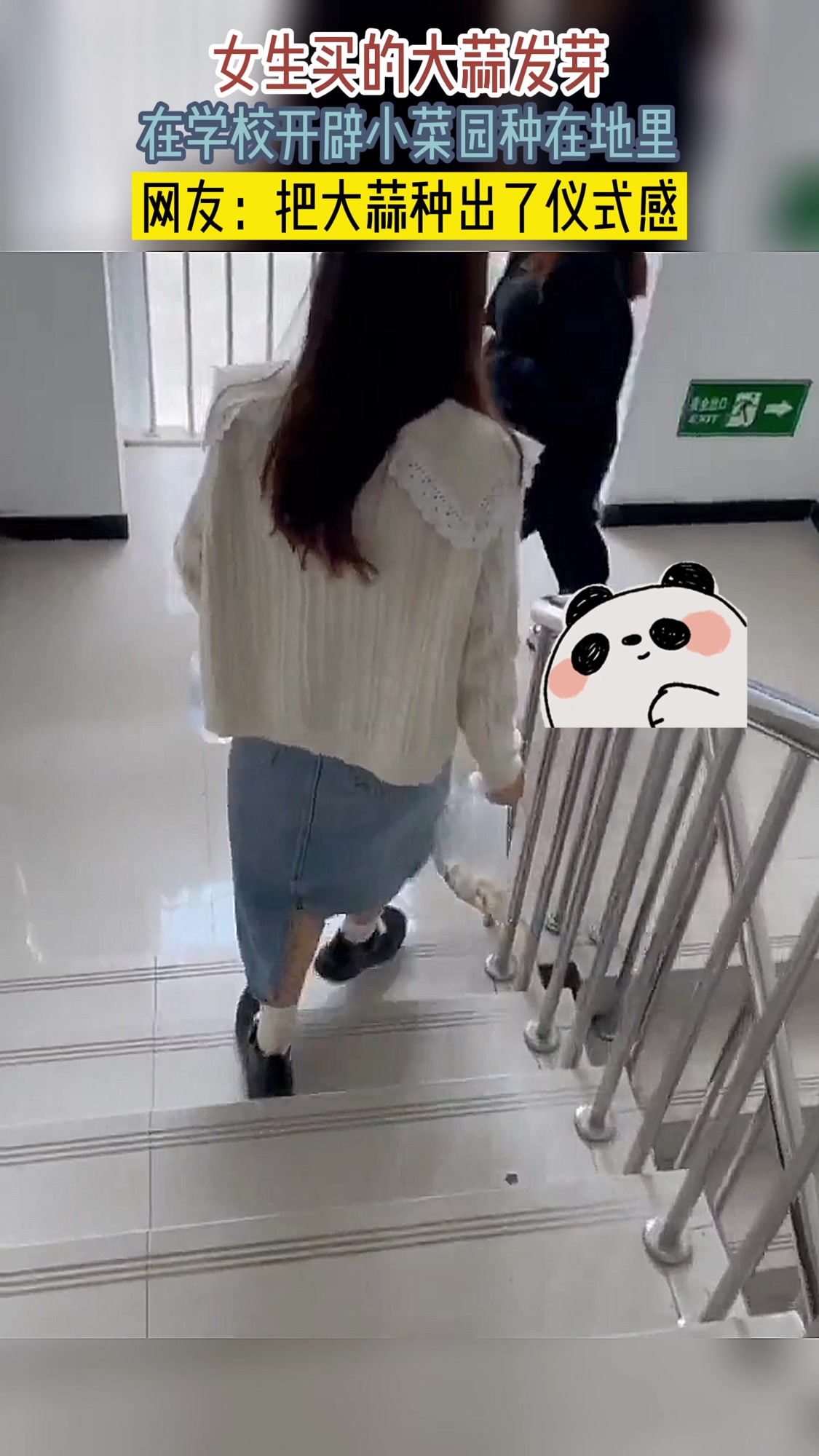 女生买的大蒜发芽,在学校开辟小菜园种在地里