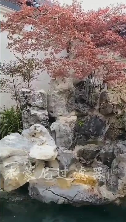 假山鱼池,就要这么清澈的水质