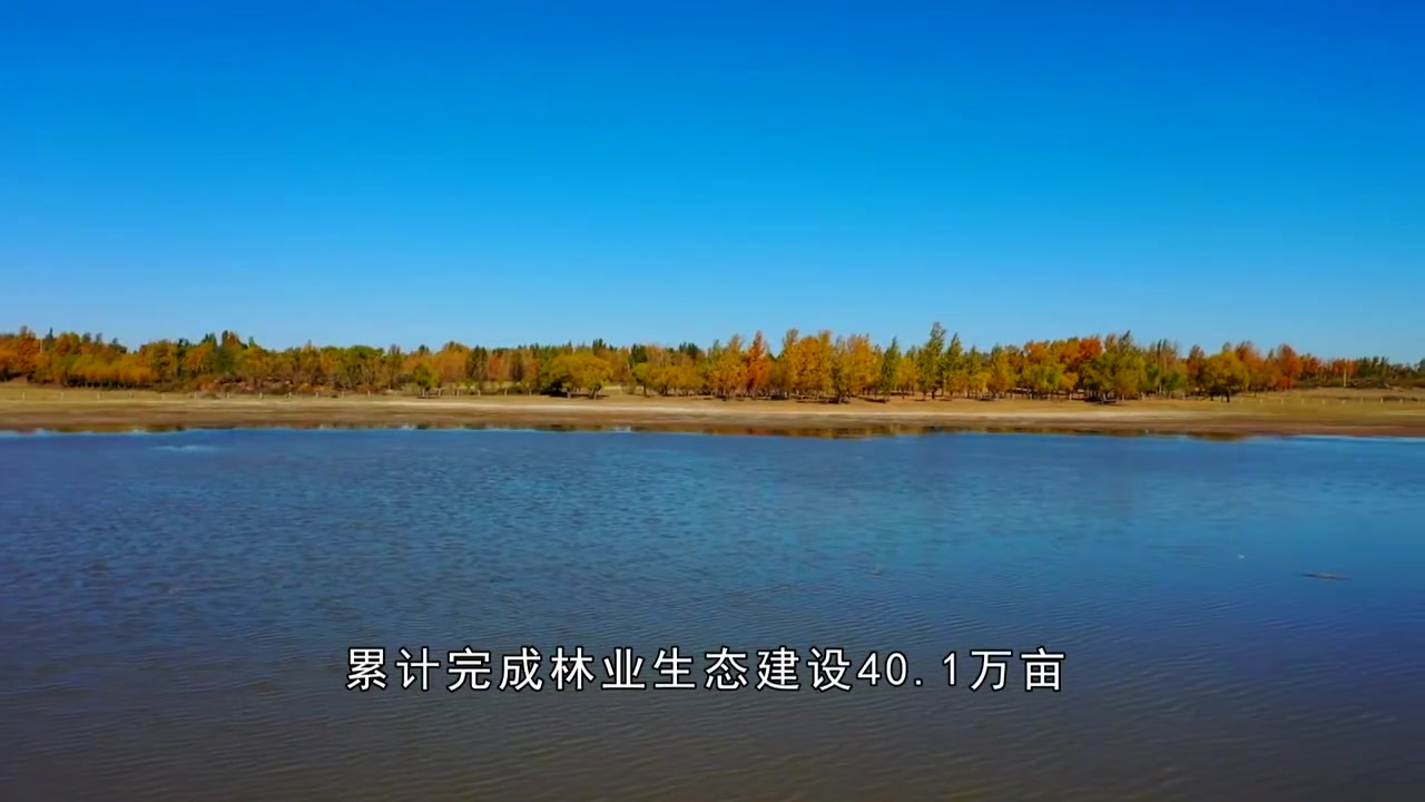 【候鸟天堂!查干淖尔湖】塞北草原,晨光熹微。每年春秋两季,遗鸥(国家一级保护动物)、白天鹅