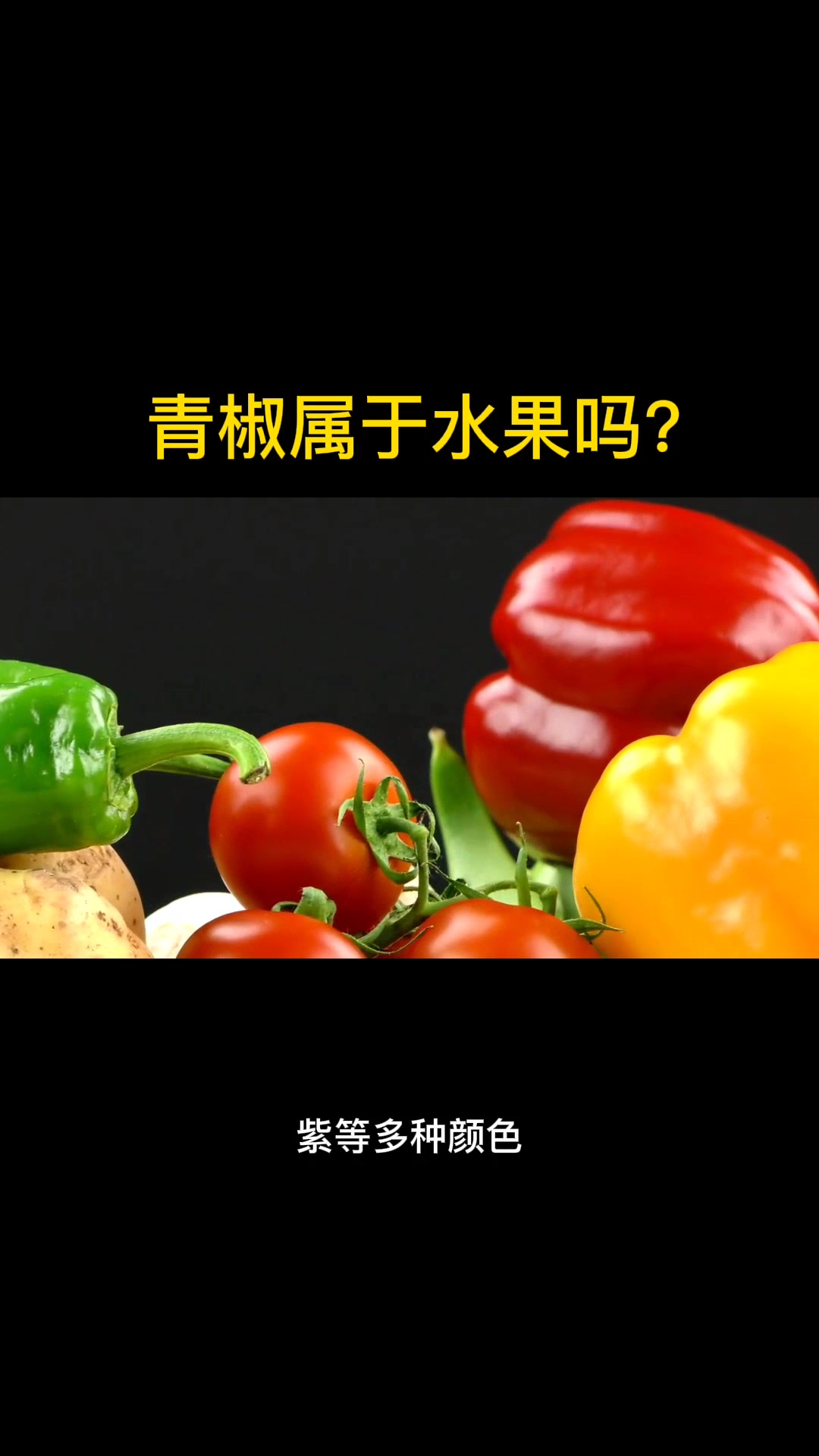 青椒属于水果吗?